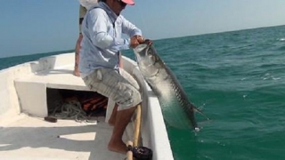 sacando del agua